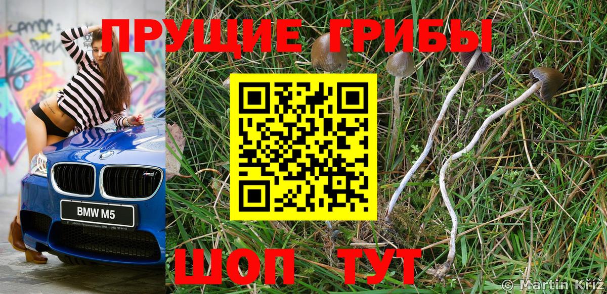 Псилоцибиновые грибы прущие грибы  Галлюциногенные грибы мухоморы  Новокубанск  Вход с VPN 